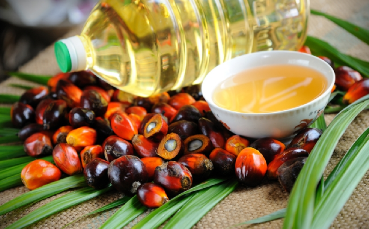 Почему стоит отказаться от употребления пальмового масла