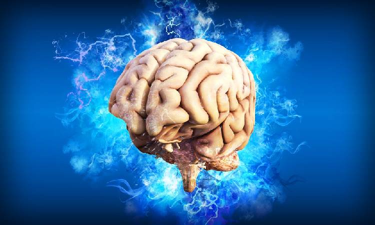 Какие продукты благотворно влияют на мозг?
