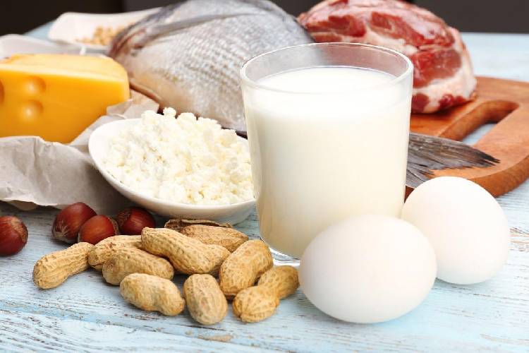 В чем заключаются преимущества белковой диеты