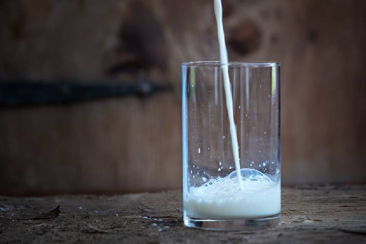 Самые популярные мифы о молоке