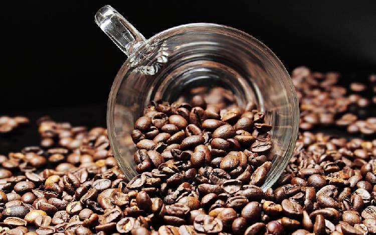 Имеет ли кофе лечебные свойства?