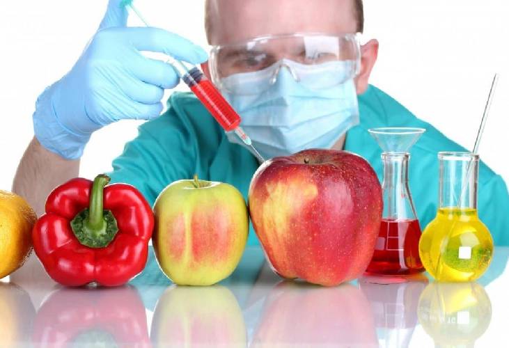 Продукты с ГМО от которых стоит держаться подальше