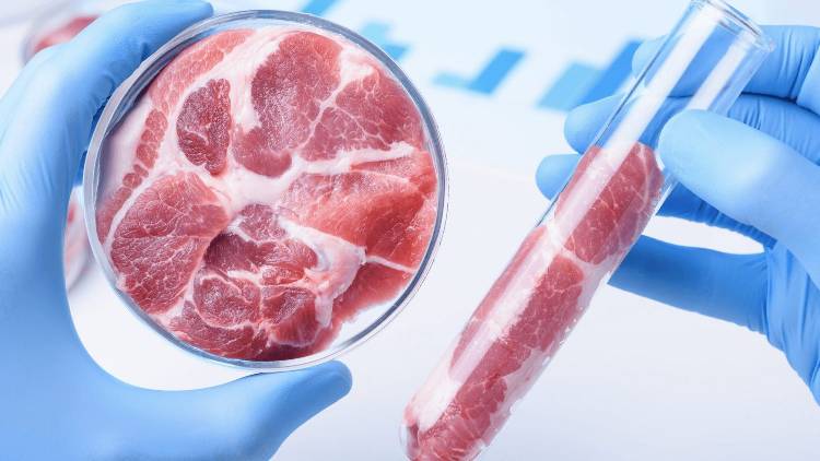 В скором времени в России появится искусственное мясо