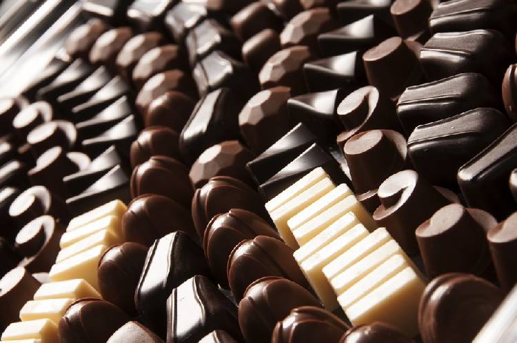 Все, что вам нужно знать о шоколаде