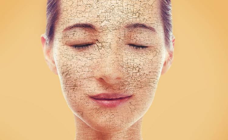 Советы по уходу за сухой кожей лица