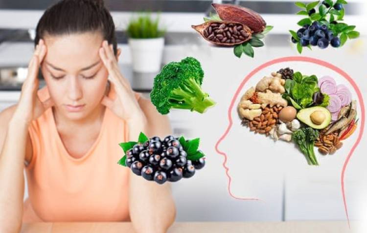 Почему растительная пища вредна для мозга?