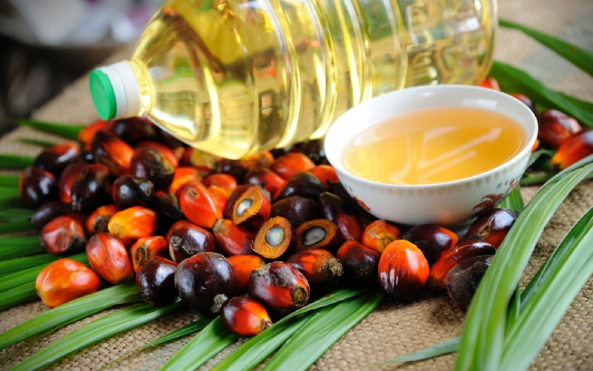 Есть ли польза от пальмового масла