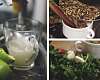 Соус песто из тыквенных семечек и кинзы - рецепт с фото, рецепт приготовления в домашних условиях