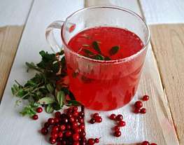 Напиток из листьев и ягод брусники