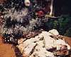Немецкий рождественский штоллен с изюмом - рецепт с фото, рецепт приготовления в домашних условиях