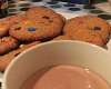 Овсяное печенье с шоколадом и вишней - рецепт с фото, рецепт приготовления в домашних условиях