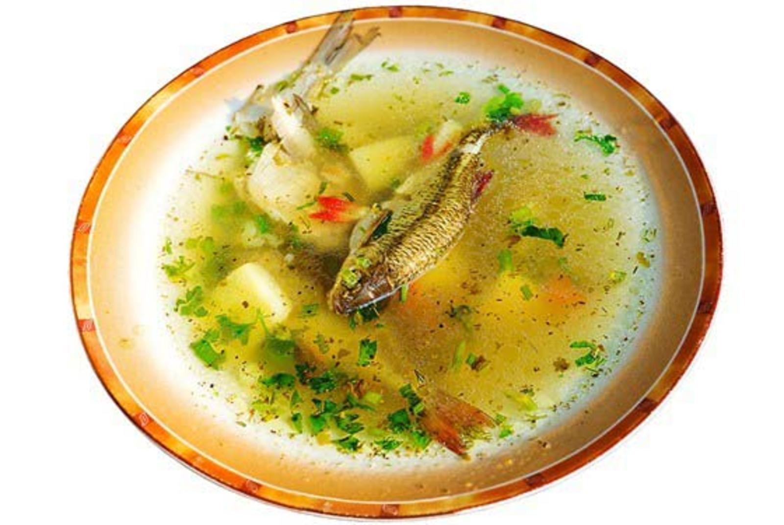 Детский рыбный суп. Уха из рыбы. Уха в тарелке. Рыбный суп в тарелке. Суп уха.
